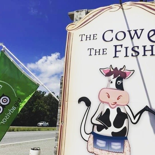 The Cow and The Fish